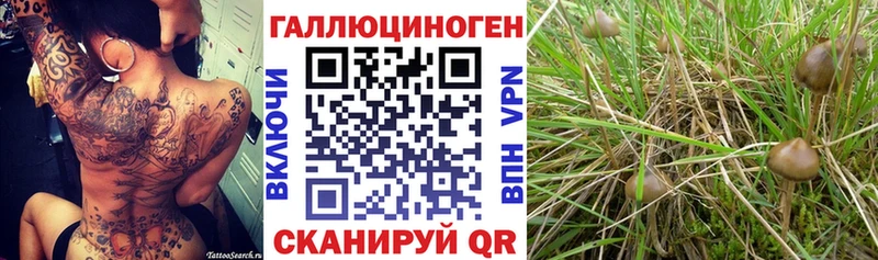 купить наркотики цена  Краснокамск  Псилоцибиновые грибы ЛСД 